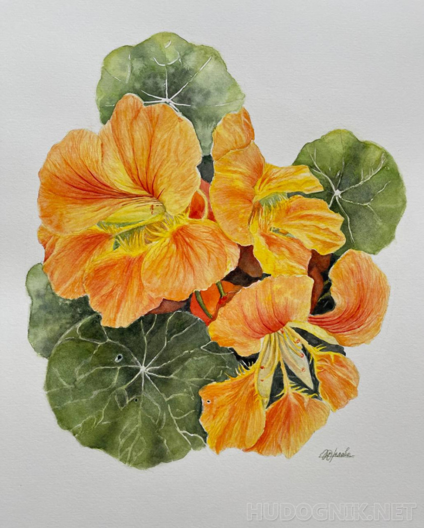 Capuchina