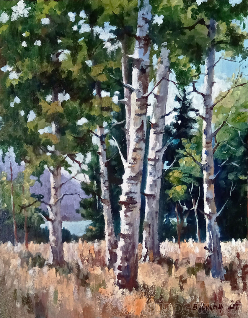 Birches