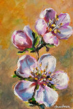 Cherry blossom