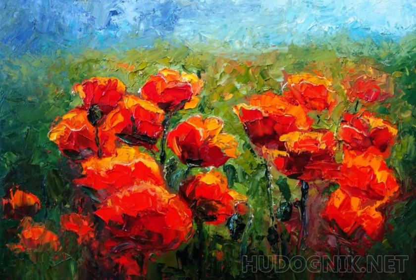 Poppy field