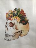 scull
