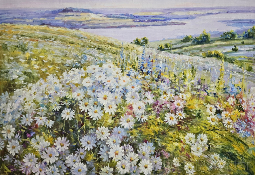 Нежное море ромашек