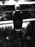 The Glass Still Life 2