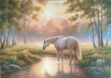 Landscape with a white horse