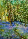In the spring forest