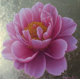 &quot;Magic of Blooming&quot;