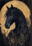 horse