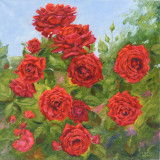 Roses of delight
