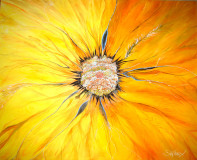 “Sun rose&quot;