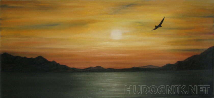“Silent flight"