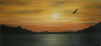 “Silent flight"