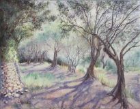 Оливы-сплетницы