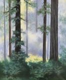 a fern in the forest (1)
