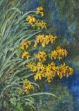 Flowers by the water