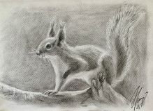 The squirrel has arrived