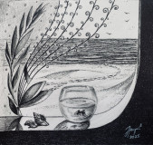 Goldfish
