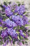 Wonderful lilac