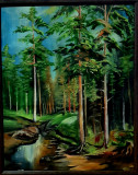 Stream in the forest