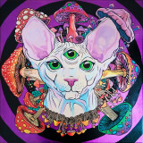 Psilocybin Sphinx