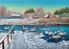 In bereg Argentin