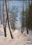 winter forest