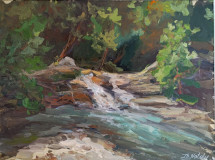 En la cascada. Plein Air ZhNataly