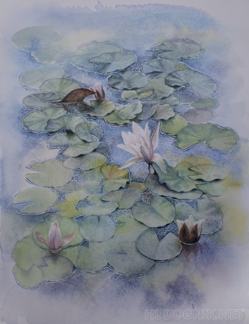 Pond with water lilies