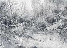 Зима в лесу
