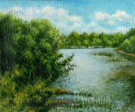 A Hot Day on the Inia River