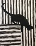 Gato negro en el laberinto