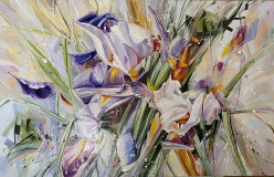Irises