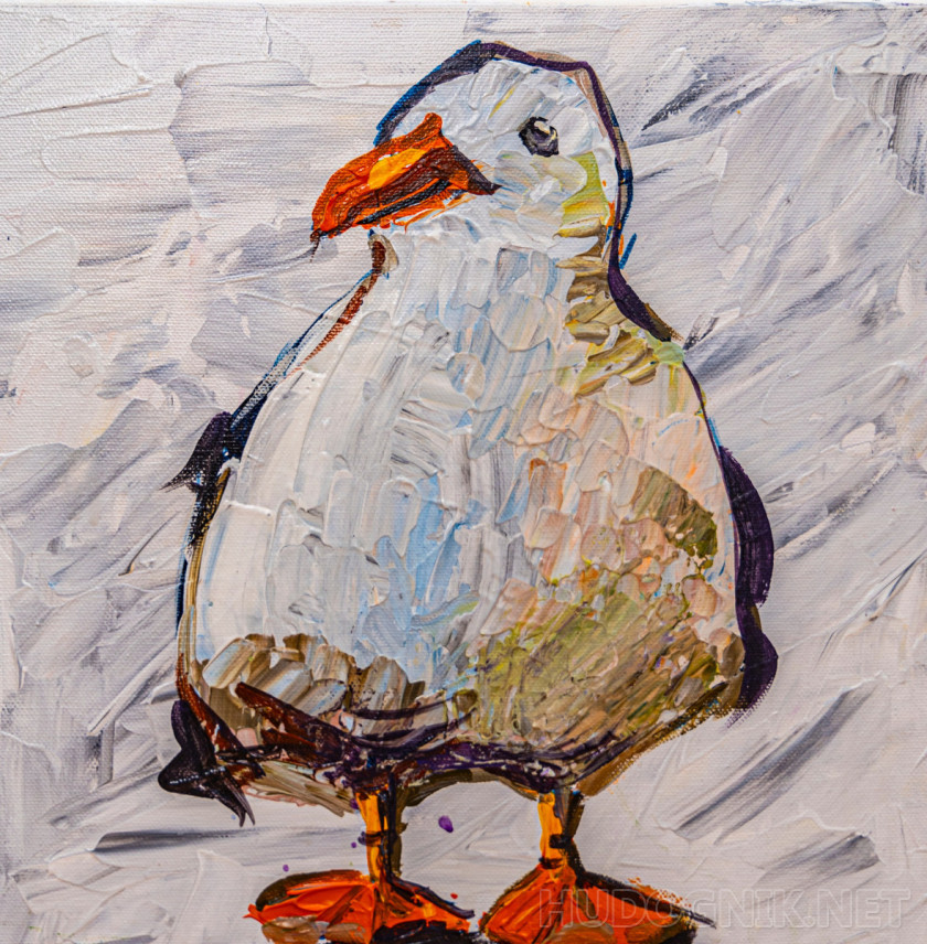 gaviota