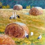 Storks