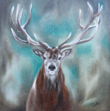 The Forest Deer