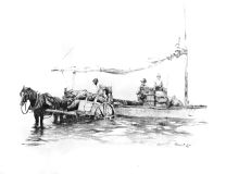 Мандарины