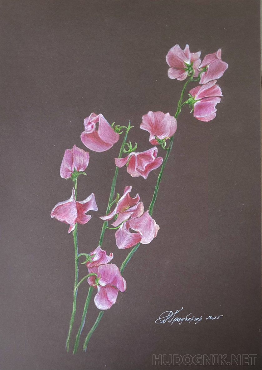 Pink flowers