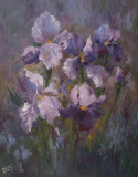 Iris en el jardín