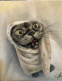 gato bonya