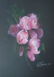 Pink flowers 2