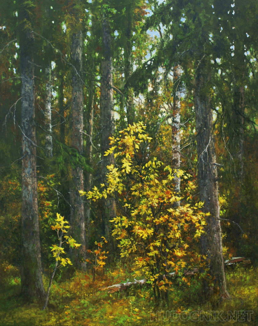 В лесу