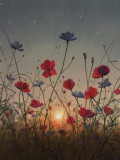 Evening