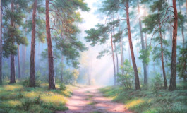 En el bosque de pinos