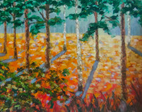 Forest, sunset, abstraction
