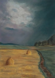 Before the storm