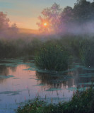 awakening