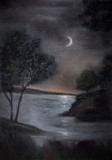 noche iluminada por la luna