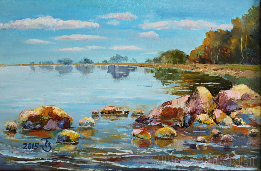Rocky shores