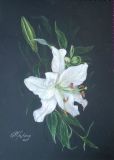 Lily