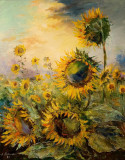 Girasoles
