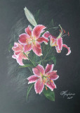 Pink lilies
